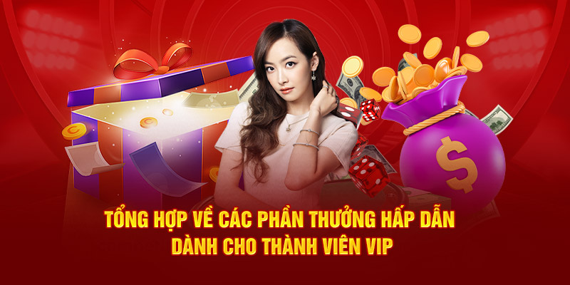 tổng hợp về các phần thưởng hấp dẫn dành cho thành viên vip